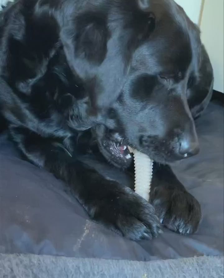 Dental Chew Toy for Dogs - Cleans Teeth While They Play